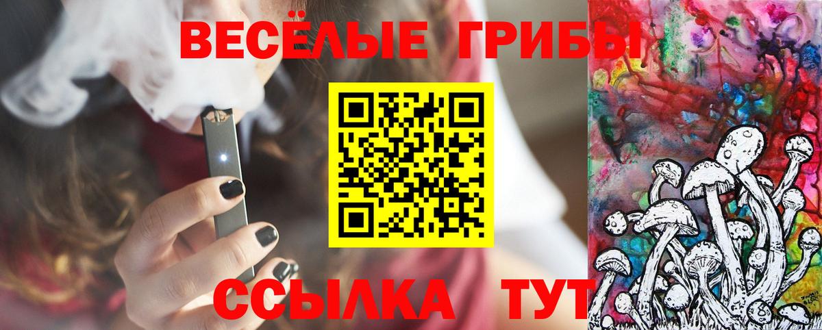 Галлюциногенные грибы Cubensis Родники